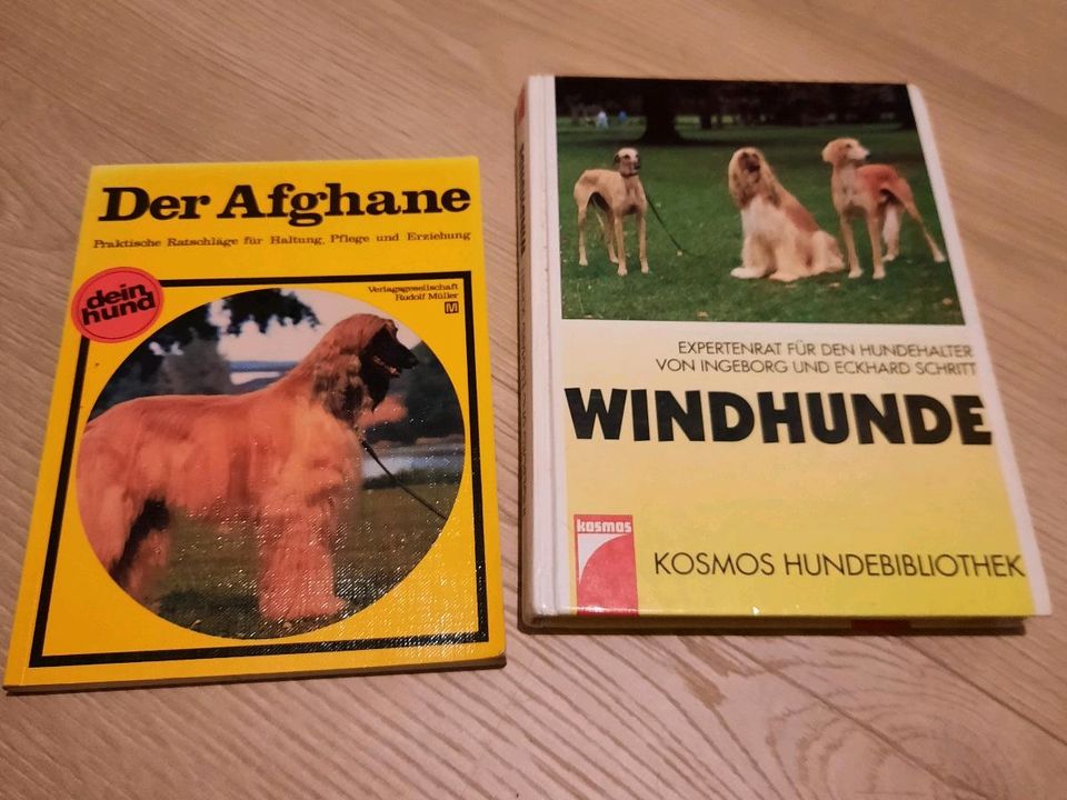 Windhundbücher in Peine