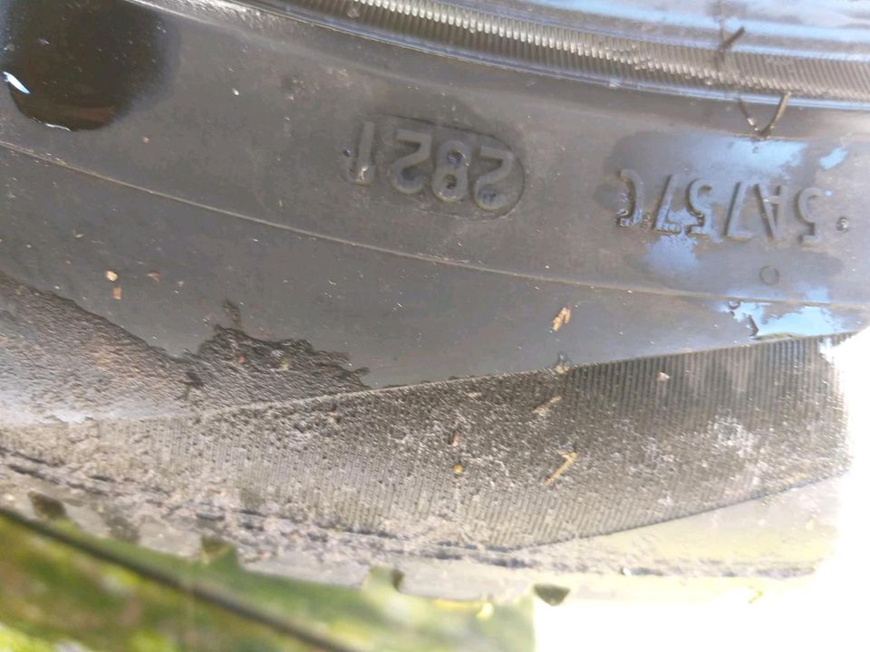 Sommerreifen Pirelli Scorpion 4x 255 45 19 in Hagen