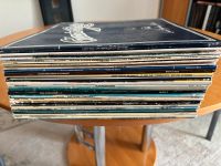 Schallplatten Paket (36 LPs/Maxi‘s) Schleswig-Holstein - Altenholz Vorschau