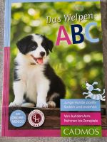 Das Welpen ABC Buch Schleswig-Holstein - Lübeck Vorschau