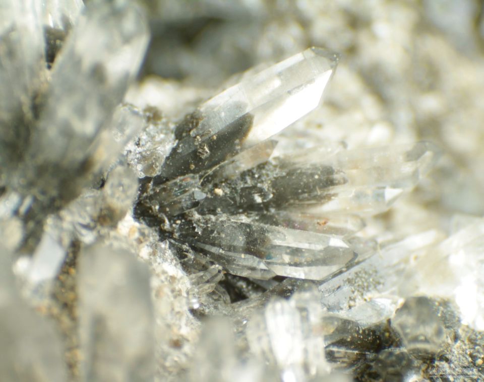Mineralien Fluorit Bergkristall Dörfel Erzgebirge Sachsen in Sehmatal-Cranzahl