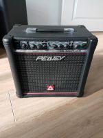 Peavey  Blazer 158 Verstärker E-Gitarre Niedersachsen - Reeßum Vorschau