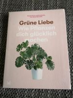 Grüne Liebe - was Pflanzen glücklich macht Zimmerpflanzen Kiel - Kronshagen Vorschau