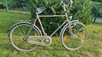 Hercules Estrella Fahrrad Retro Vintage 28Zoll Nordrhein-Westfalen - Steinfurt Vorschau