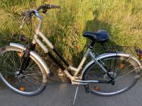 28 Zoll, Unisex, Fahrrad, Damen und Herren Nordrhein-Westfalen - Barntrup Vorschau