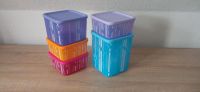 Disney Cubix Set Tupperware Nordrhein-Westfalen - Meschede Vorschau