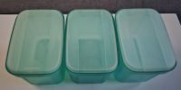 3 Tupperware Swingbox 1 Liter Grün Rostock - Gross Klein Vorschau