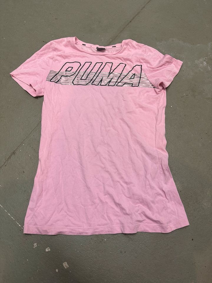 Puma Shirt in Roxel