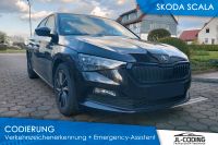 Skoda Scala Verkehrszeichenerkennung VZE Freischalten Schilder Hessen - Wolfhagen  Vorschau