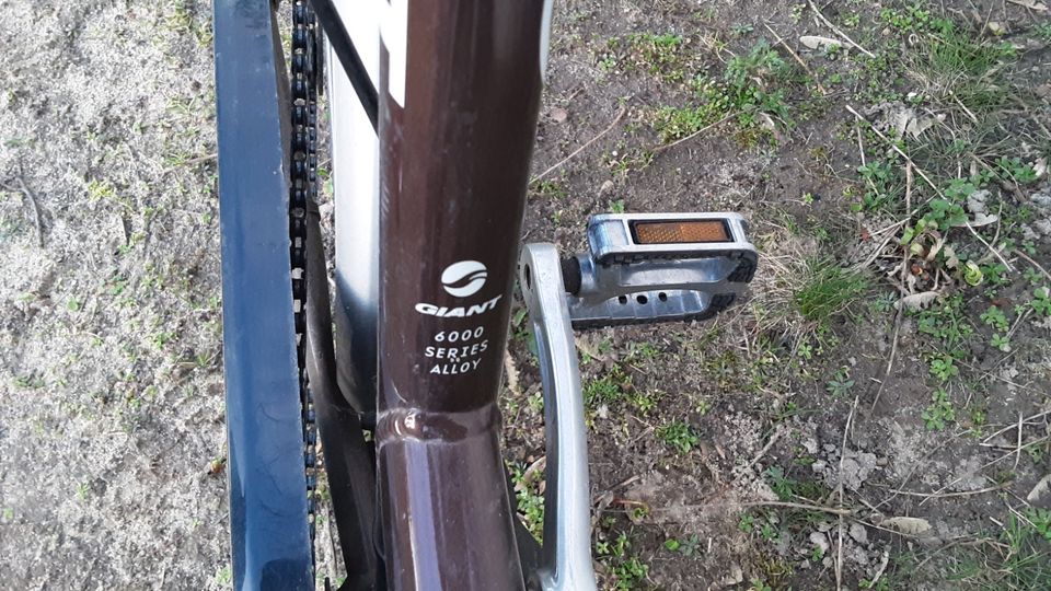 GIANT Damenfahrrad in Bad Harzburg