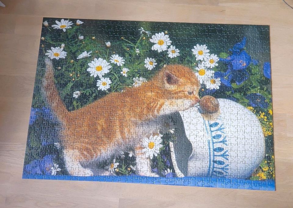 Puzzle 1000 Teile in Herdorf