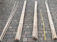 50 Bambusstangen Bambusstäbe Pflanzstäbe getrocknet 3 Meter lang Schleswig-Holstein - Hanerau-Hademarschen Vorschau