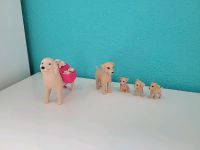 Barbie Hunde Bayern - Hirschaid Vorschau