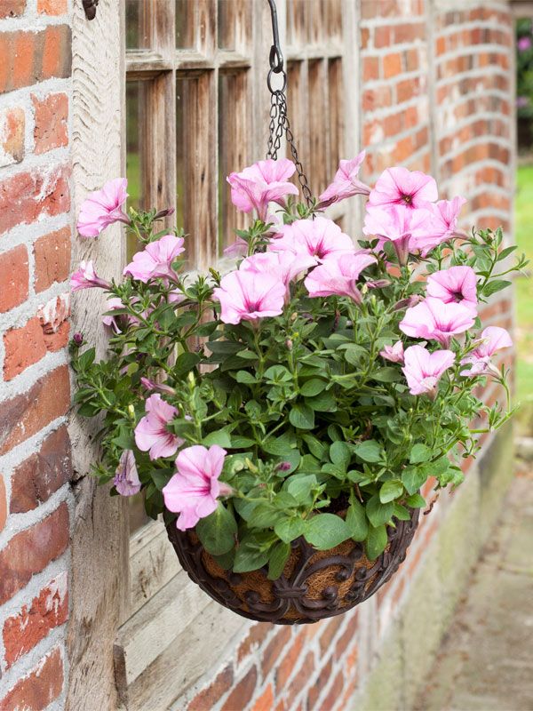 Blumenampel Pflanzampel Hängeampel Gusseisen Terrasse Gartendeko in Hanau