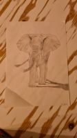 Elefanten Bild, Elefant, Bild Elefant Kiel - Pries-Friedrichsort Vorschau