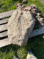 Granitstein Niedersachsen - Groß Twülpstedt Vorschau