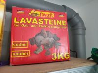 Lavasteine 2x 3 kg Hannover - Bothfeld-Vahrenheide Vorschau