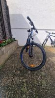 Fahrrad mit Alarmanlage und Metallschloss, Mountainbike Baden-Württemberg - Reutlingen Vorschau