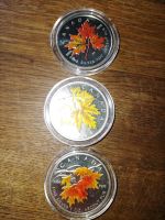 3 Maple leaf coloriert jeweils 1. Oz Nordrhein-Westfalen - Oberhausen Vorschau