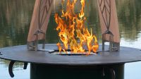 Flammlachs an der GRILLPLATTE Grill Feuerschale Feuertonne Niedersachsen - Werlte  Vorschau