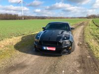 Ford Mustang GT 5,0 Nordrhein-Westfalen - Ibbenbüren Vorschau