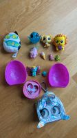 Set aus Squishmallow Mini, Hatchimals,  Micro pets Tasche Berlin - Steglitz Vorschau