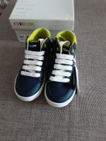 Geox Sneaker, Turnschuhe, Halbschuhe, Junge 26 Neu Nordrhein-Westfalen - Stemwede Vorschau