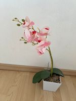 Orchidee Kunstpflanze Nordrhein-Westfalen - Wülfrath Vorschau