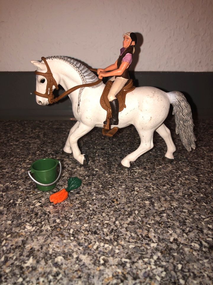 Schleich Reiterin mit Lipizzaner Stute in Pohlheim