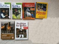 Pferdebuch 6 Pferdebücher Sachbuch Pferd Profitpps für Reiter Hamburg - Wandsbek Vorschau
