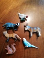 Schleich-Set verschiedene Tiere Baden-Württemberg - Meckenbeuren Vorschau