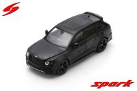 SPARK 1:43 Bentley Bentayga 2019 Modellauto Hessen - Driedorf Vorschau