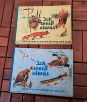 DDR 2 Kinderbücher-Ich weiß etwas. Tierbeobachtungen.. vonSchulz Sachsen - Reichenbach (Vogtland) Vorschau