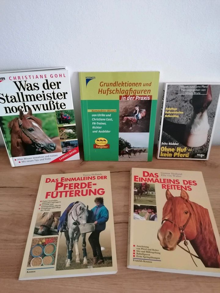 Bücherpaket Pferde Reiten Pferdegesundheit in Naila