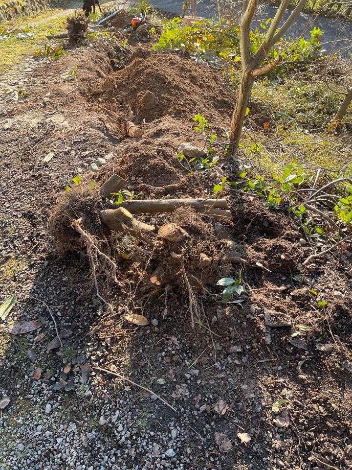 Gartenarbeit, Hausmeisterservice in Fürth