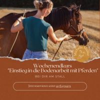 "Einstieg in die Bodenarbeit mit Pferden"- Mobiles Pferdetraining Niedersachsen - Bad Münder am Deister Vorschau