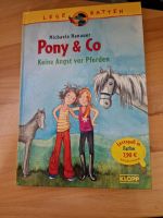 Pony & Co  Keine Angst vor Pferden Sachsen-Anhalt - Wanzleben Vorschau
