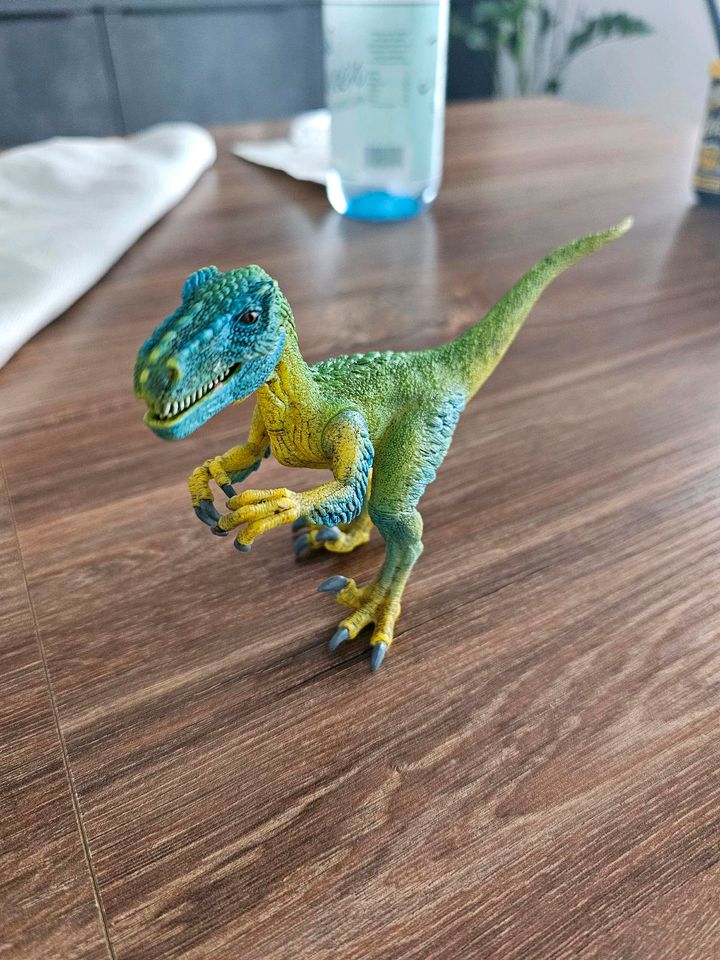 Dinosaurier Velociraptor Schleich in Schlüchtern