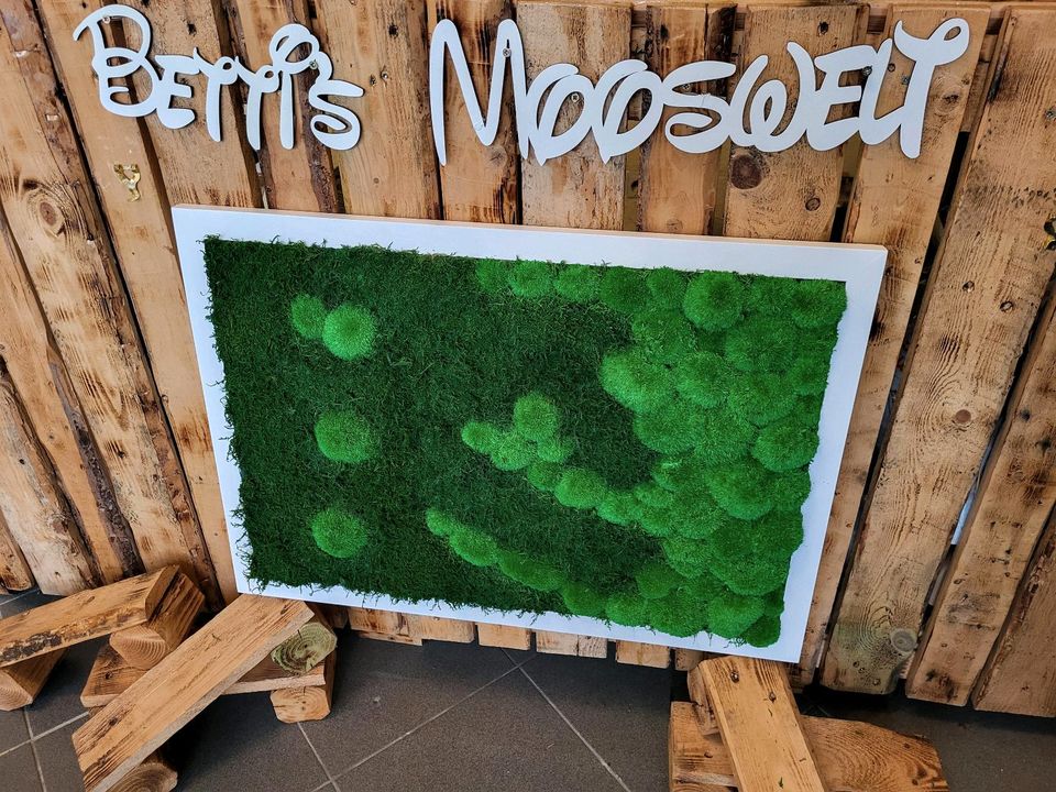 ❤️ ab 109€ Moos Moosbild Bollenmoos Kugelmoos Handarbeit in Saarbrücken