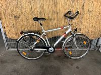 Pegasus povver City bike 28’Zoll Rh‘50‘cm Friedrichshain-Kreuzberg - Kreuzberg Vorschau