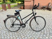 Fahrrad 28" mit Trapezrahmen Ludwigslust - Landkreis - Wöbbelin Vorschau