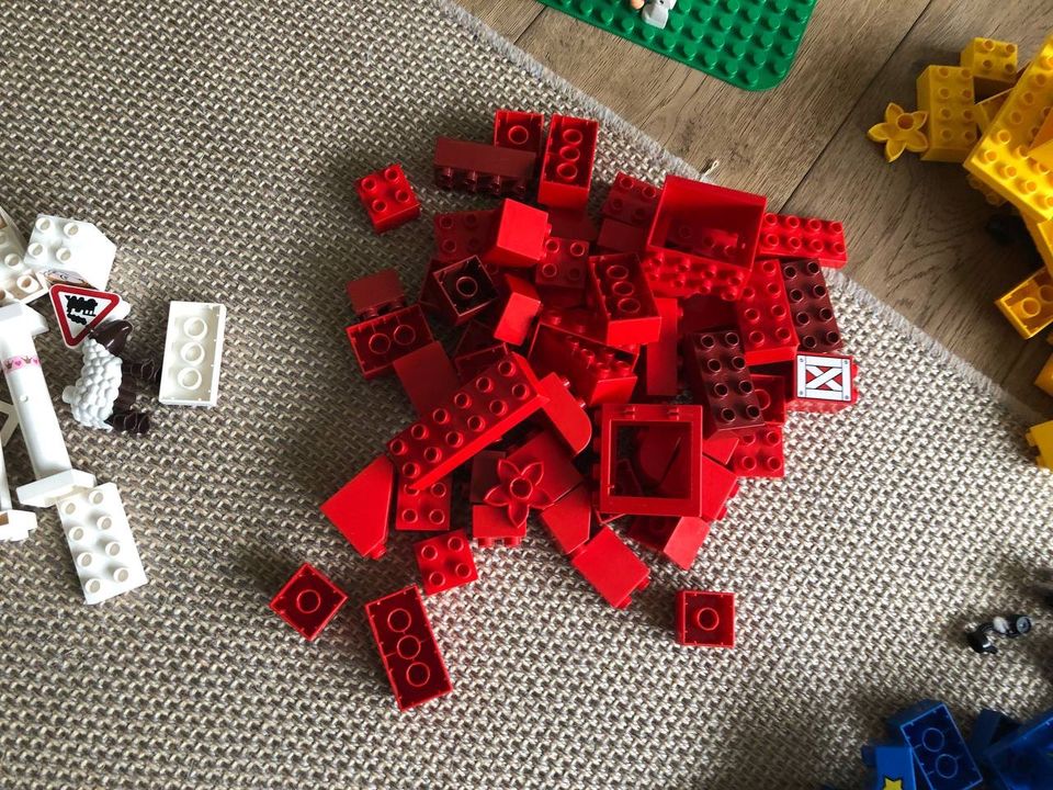 Lego Duplo Sammlung ca 300 Teile in Bielefeld