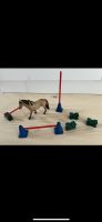 Schleich horse Club Pony Slalom Niedersachsen - Eggermühlen Vorschau