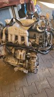 VW T5 MOTOR BNZ 2.5TDI 131PS 90TKM Nordrhein-Westfalen - Schloß Holte-Stukenbrock Vorschau