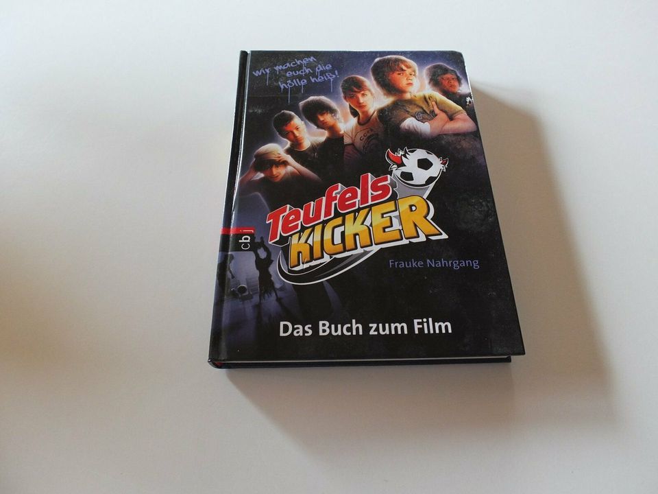 Verkaufe 11 Bücher der wilden Kerle und 1 Buch Teufelskicker in Seibersbach