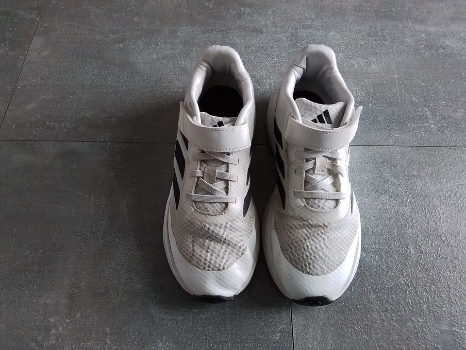 Adidas Sneaker  37 in Brachttal