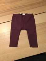 Hose Leggings Lila Noppies 62 Bremen - Neustadt Vorschau