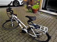 E-Bike Pegasus Opero E8R Düsseldorf - Oberkassel Vorschau