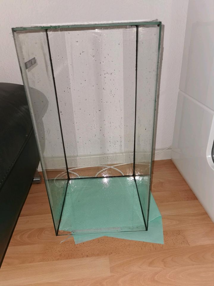 Terrarium Aquarium Glas ohne Abdeckung Haustiere Hamster in Chemnitz