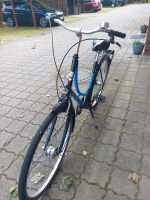 Damen Fahrrad Niedersachsen - Rotenburg (Wümme) Vorschau